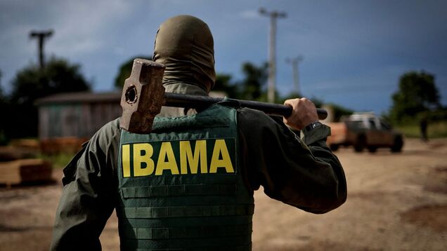 Deforestation in the Amazon dropped by a third since Lula became president