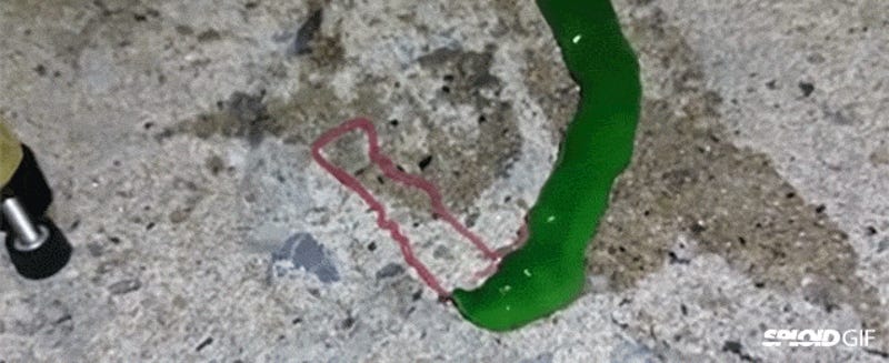 green hell worm