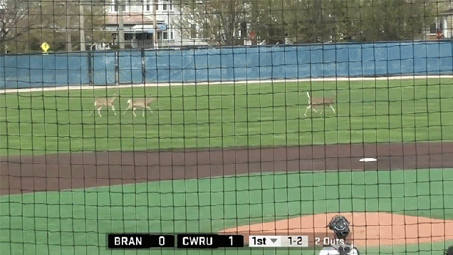 tp8d6nong7nivvjcd1rn.gif
