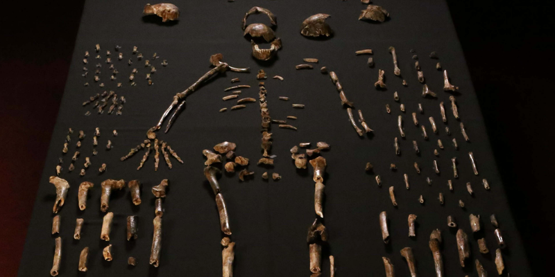 Scientists Have Discovered a New Human-Like Species in South Africa