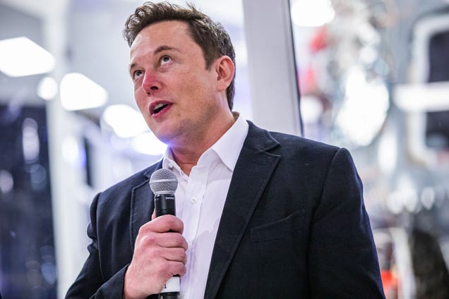 The Twitter whistleblower threw a lifeline to Elon Musk