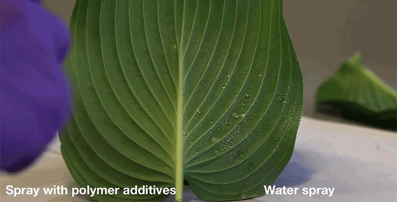 photo of MIT Researchers Found a Way to Make Pesticides Stick to Plants image