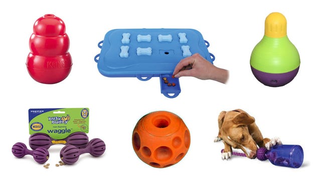 The 6 Best Toys to Keep Your Dog Really Busy