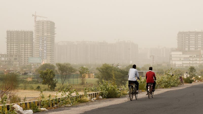 Cyclists pedaling on the outskirts of New Delhi on June 14, 2018.