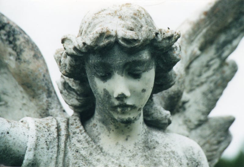 Illustration for article titled This Is the Life of a Graveyard Tourist