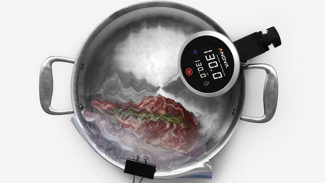 photo of Seriously, Get Yourself a Sous-Vide Circulator This Black Friday image
