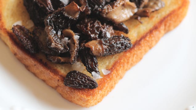 Soak up Every Bit of Morel Flavor by Frying Bread in the Leftover Butter