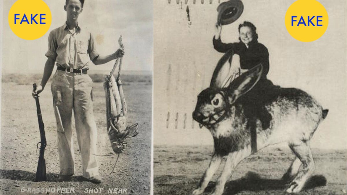 Huge animals: real and fake Huge animals: real and fake