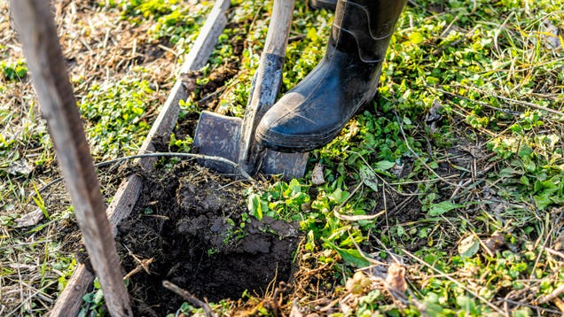 Cómo mejorar la calidad del suelo de su jardín durante el invierno 2