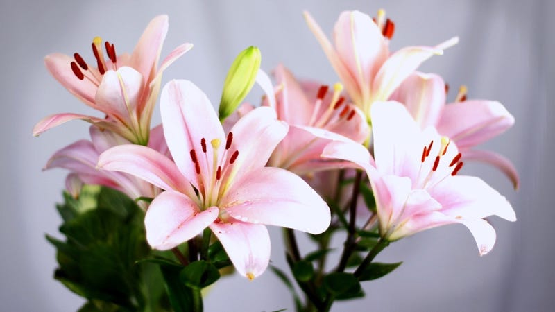 Easy Flower Arrangements Upgrade Supermarket Flowers Image Led Choose Flowers For Your Wedding Day Step 1