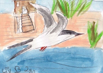 Illustration for article titled 11-Year-Old Raises $110,000 For Oil Cleanup