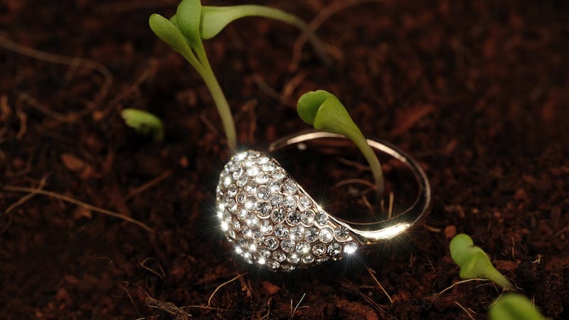 Illustration for article titled Overly Nervous Boyfriend Drops Engagement Ring Into a Pond Mid-Proposal
