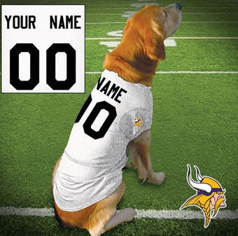 Illustration for article titled Insensitive NFL Sells Brett Favre Dog Jerseys!