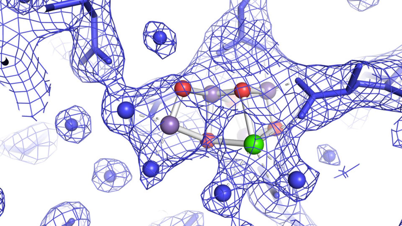 How Plants Produce Oxygen Revealed by 'Tour-de-Force' Laser Measurement