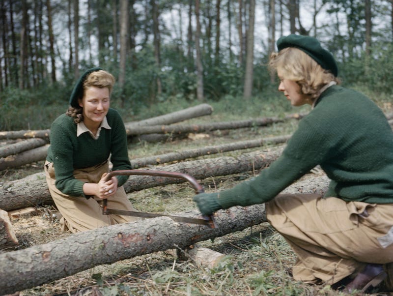 Wanita Angkatan Darat menggergaji kayu di kamp pelatihan Timber Corps di Culford, Suffolk, 1943.