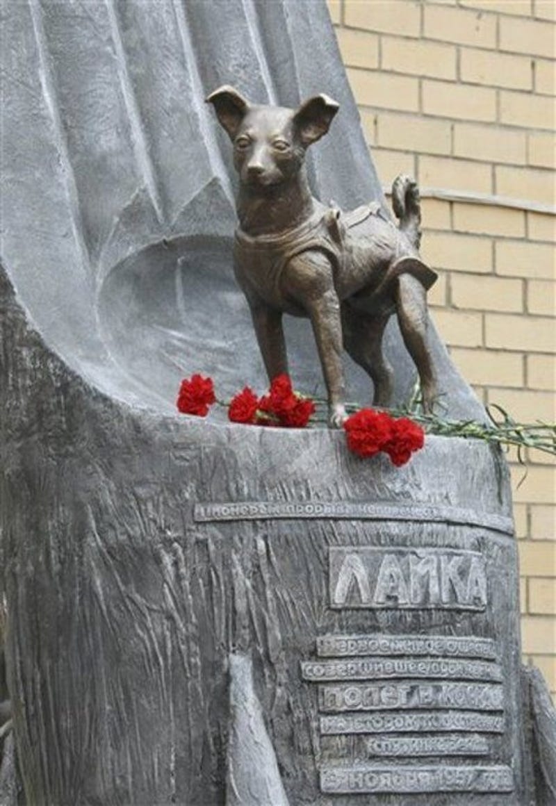 Image result for laika dog monument