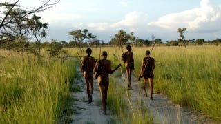 Illustration for article titled A view of the exact region in Africa where humans emerged