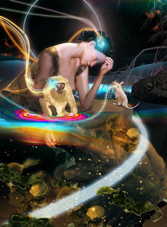 Illustration for article titled Fiber Optic Cable In Your Skull Can Reprogram a Brain