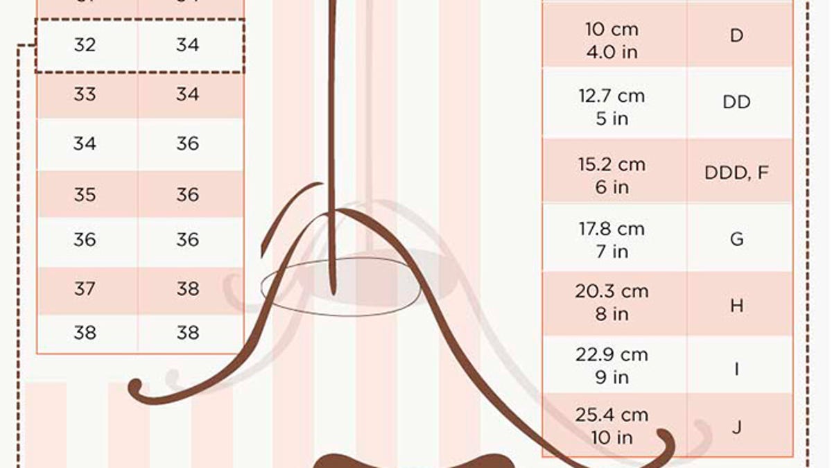 Cup Size Chart Visual - Greenbushfarm.com