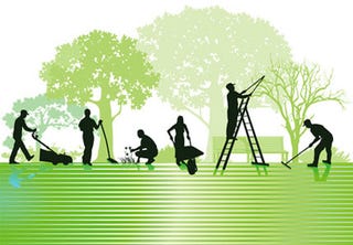 Steps to start a gardening business