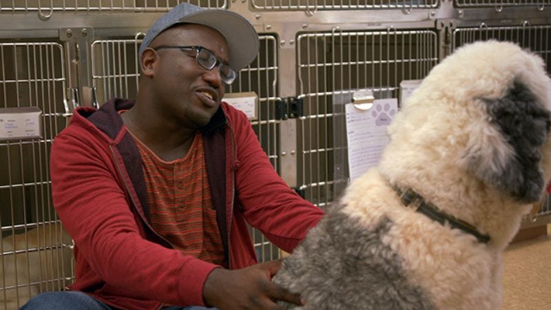 Illustration for article titled Comedy Central finally gives Hannibal Buress his own show