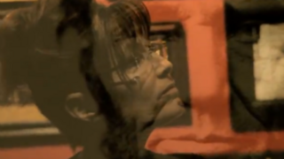 Sarah Palin (SarahPAC.com)