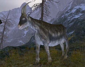 Illustration for article titled Age Of Conan Features Festive Goat Killing