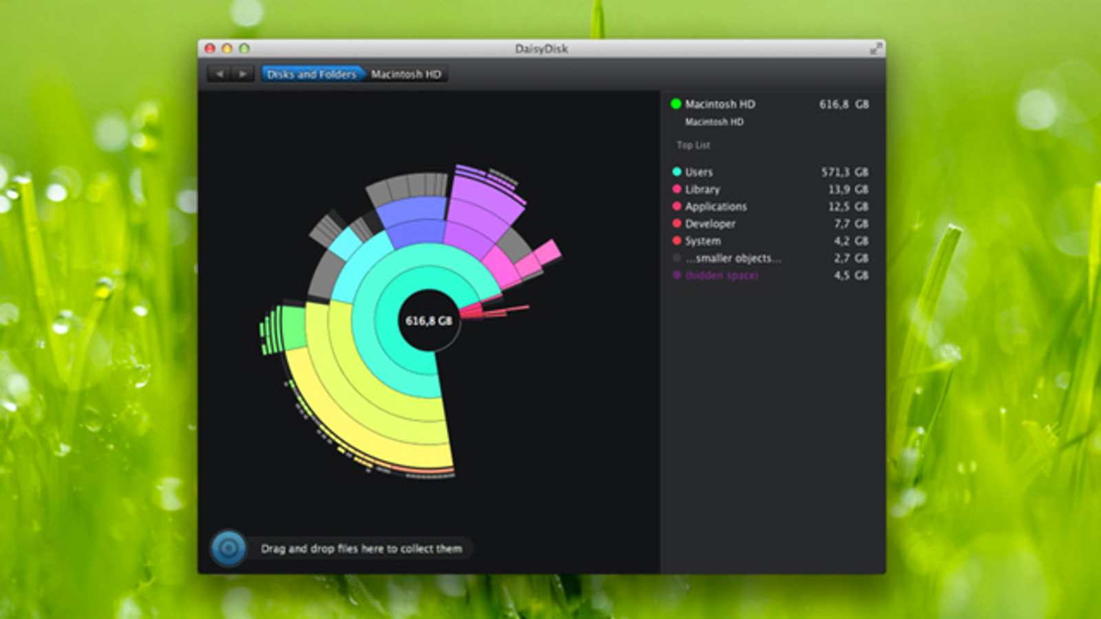 free downloads DaisyDisk