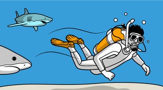 Illustration for article titled Texting and Driving? You'd Be Safer Swimming With Sharks