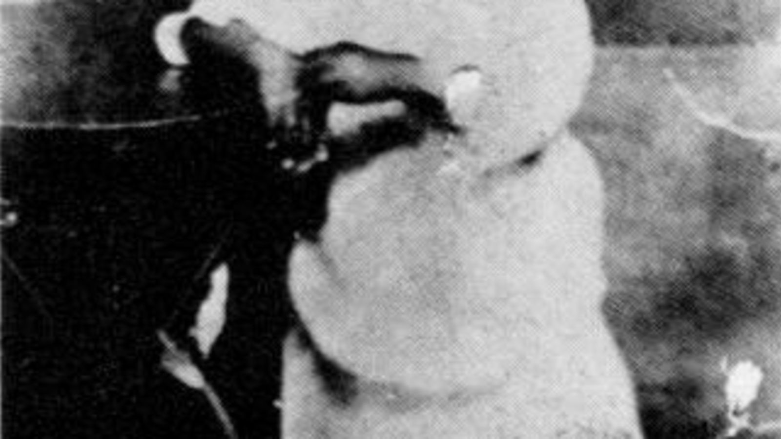 Illustration for article titled Remembering Billie Holiday