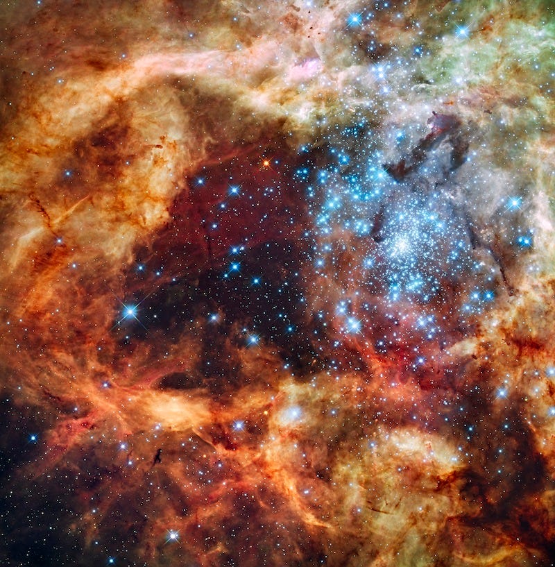 Image result for star nursery