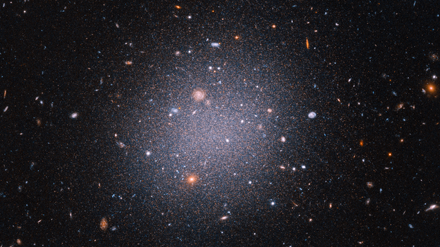 Hubble Space Telescope Takes Another Look at  Weird  Galaxy That Seems to Lack Dark Matter