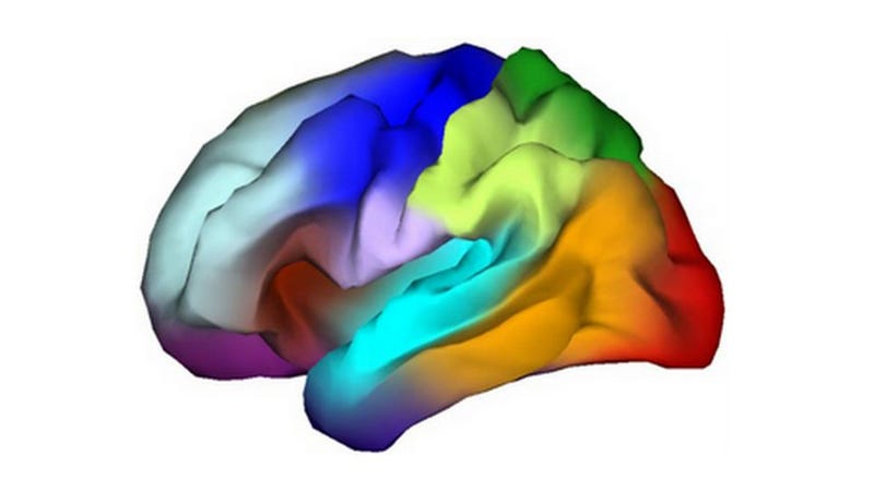 Illustration for article titled Genetic Atlas Yields a Brainbow of Cognitive Information