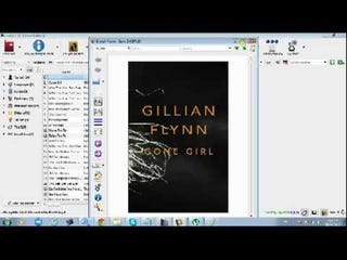 Illustration for article titled Gone Girl A Novel Gillian Flynn Epub