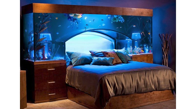 stunning aquarium bed redefines sleeping with the fishes