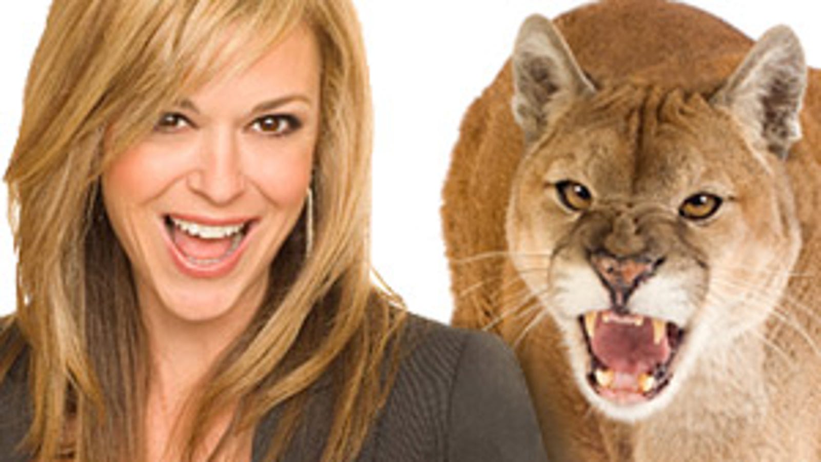 How Do We Survive The Cougar Attack