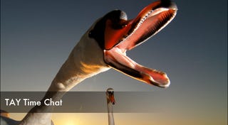 Illustration for article titled TAY Time Chat: Swan Attack!