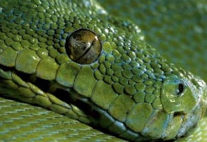 Illustration for article titled Become A Photography Expert Thanks To BBC Wildlife's Photo Masterclasses