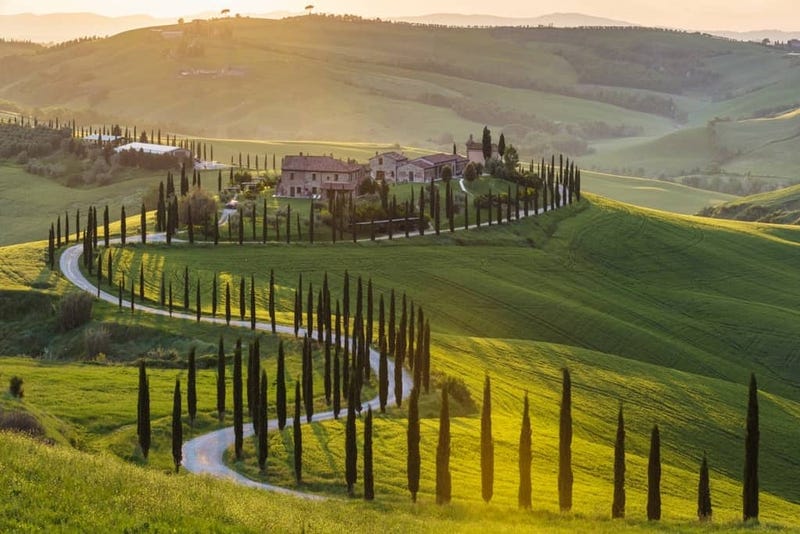 Illustration for article titled When clueless Opponaughts go to Tuscany, what should they do?