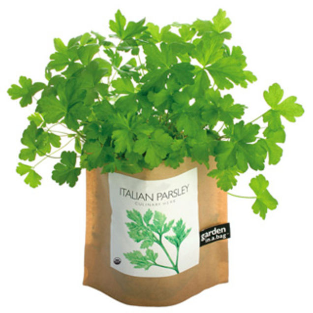 Illustration for article titled Word to Your Mother