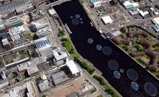 Illustration for article titled Glasgow Considering Installing Giant 'Solar Lily Pads' in the River Clyde