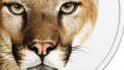 mountain lion mac recovery