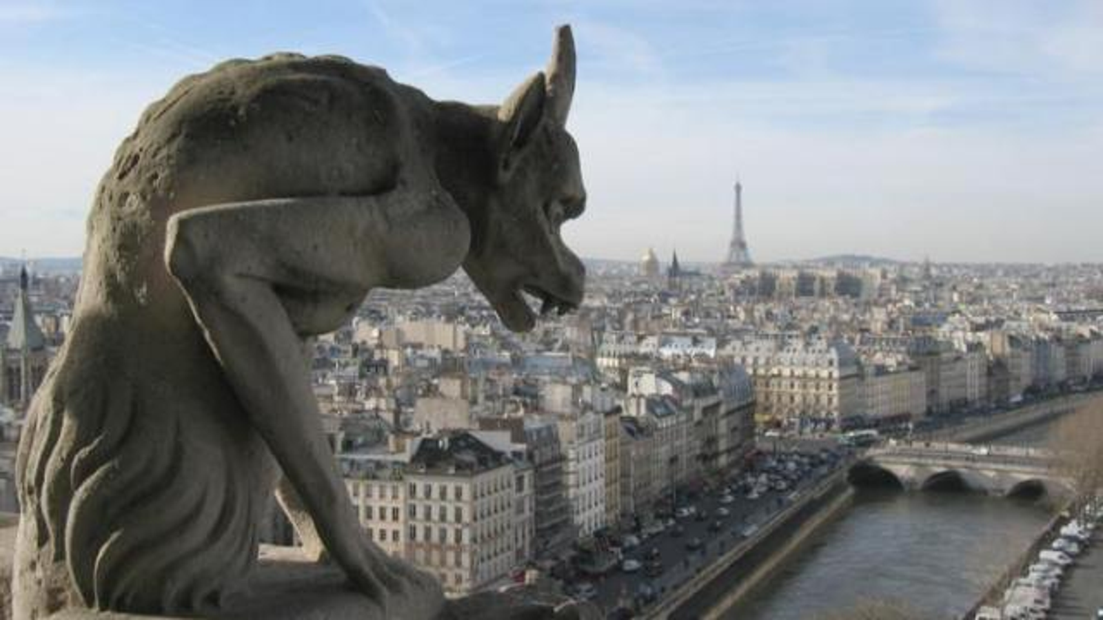 chimera in humans