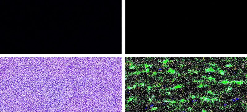 Illustration for article titled RAW and JPG File Formats Are Very Different Indeed
