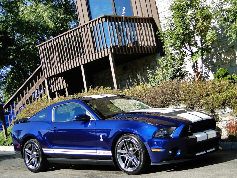 Illustration for article titled Shelby GT500