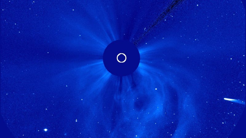 Illustration for article titled Comet Ison May Still Be Alive (Updated)