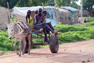 Photo courtesy of AJE