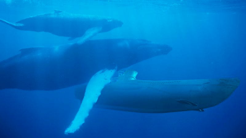 Illustration for article titled Maddeningly Wasteful: The U.S. Navy Loses Over $45 Billion A Year To Submarines Sneaking Off With Whales And Living With Them Forever