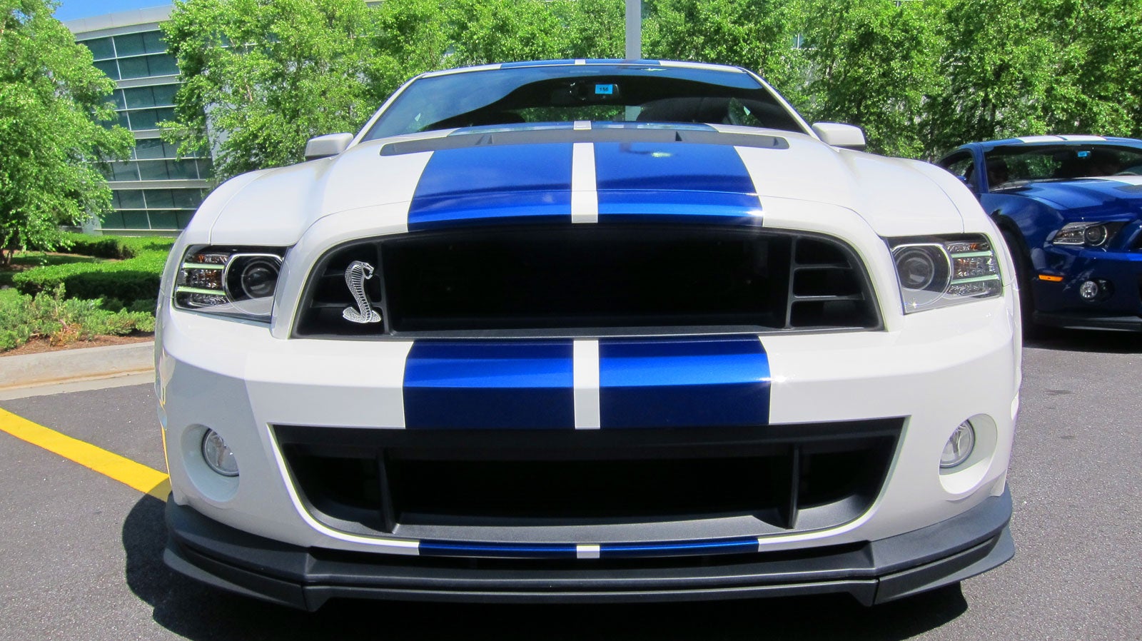 First Drive: 2013 Ford Shelby GT500