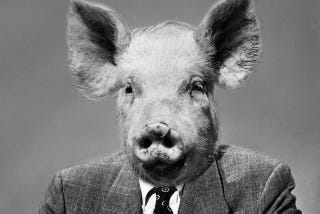 Illustration for article titled What's a Male Chauvinist Pig to Do?